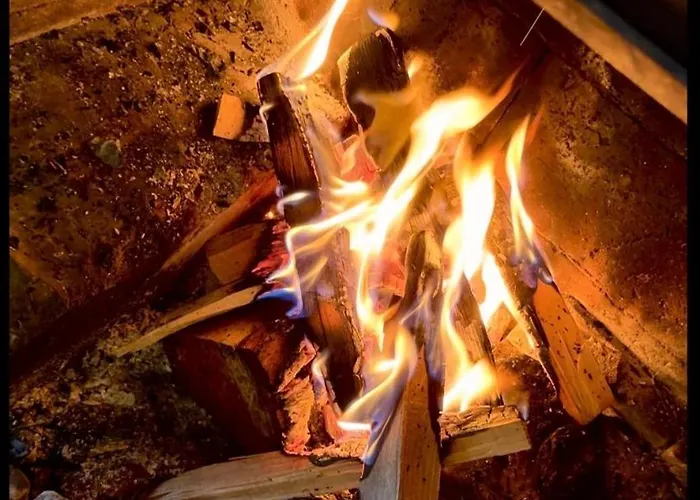 Grand & Kurhaus ホテル 3*