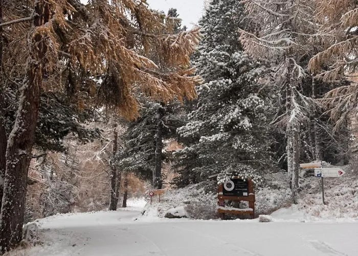 Grand & Kurhaus ホテル